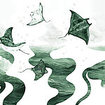 w02266v2p.jpg
