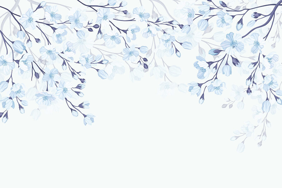 w02200v1p.jpg