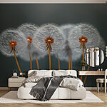 Wall murals Group of dandelions with seeds