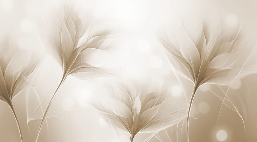 w02697v1p.jpg