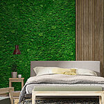 Wall murals Wood plank on a green wall