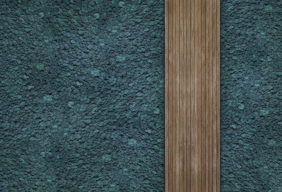 w02656v2p.jpg