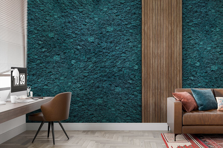 w02656v2piw29r w02656v2piw29r