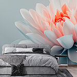 Wall murals Delicate petals in soft hues
