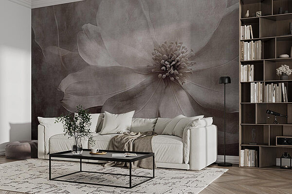 Delicate petals caressed by time Wall murals Delicate petals caressed by time