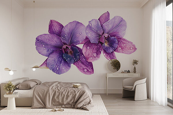 Purple flowers with water drops on them Wall murals Purple flowers with water drops on them