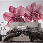 Wall murals Delicate blooms with refreshing droplets