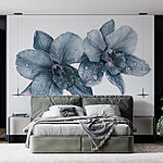 Wall murals Delicate orchids with morning dew