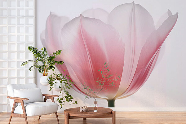 Delicate petals in soft hues Wall murals Delicate petals in soft hues