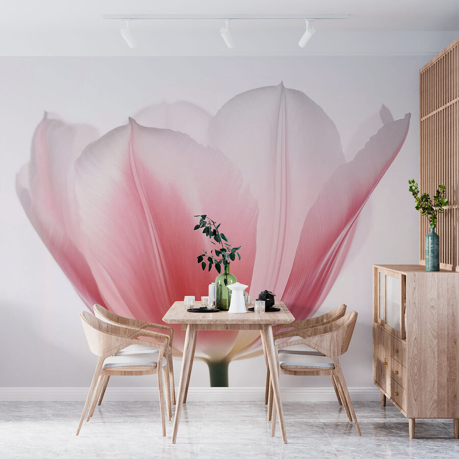 w03224piq1ms w03224piq1ms