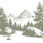 w03342v1p.jpg
