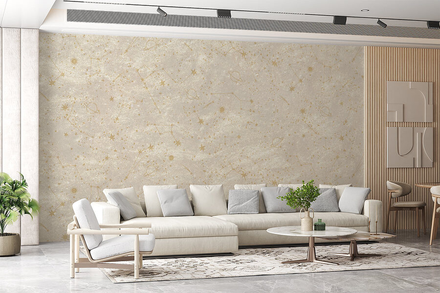 w08931pig1r w08931pig1r