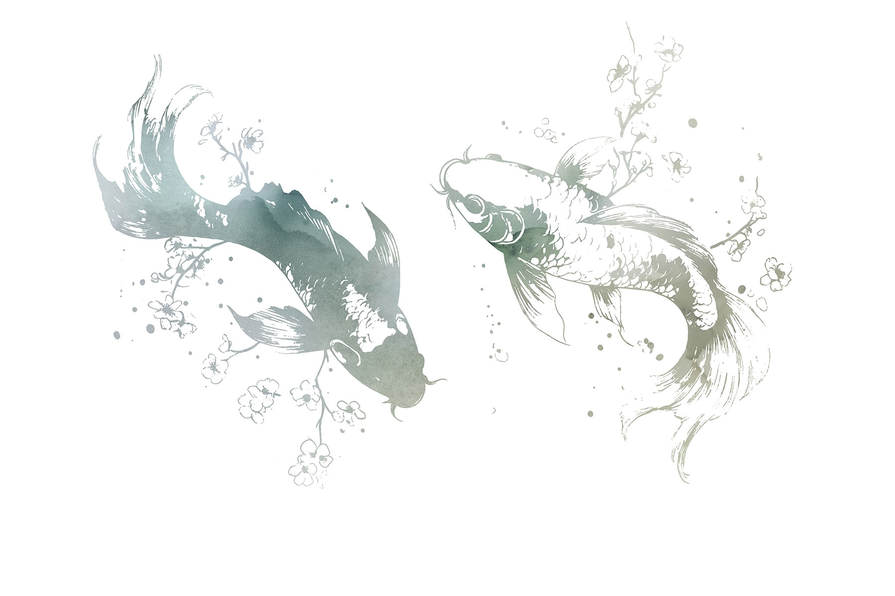 w03447v2p.jpg w03447v2p.jpg