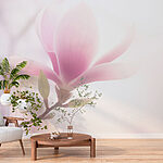 Wall murals Delicate bloom in soft light