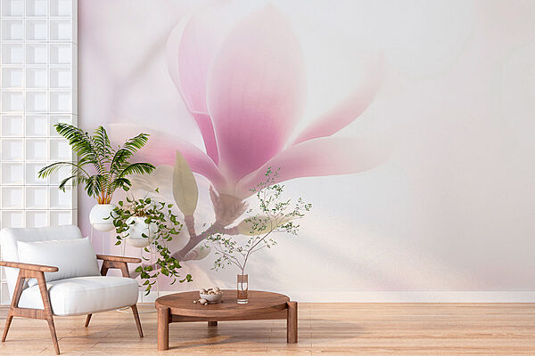 Delicate bloom in soft light Wall murals Delicate bloom in soft light