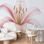 Wall murals Delicate petals in soft hues