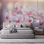 Wall murals Delicate blooms in soft light