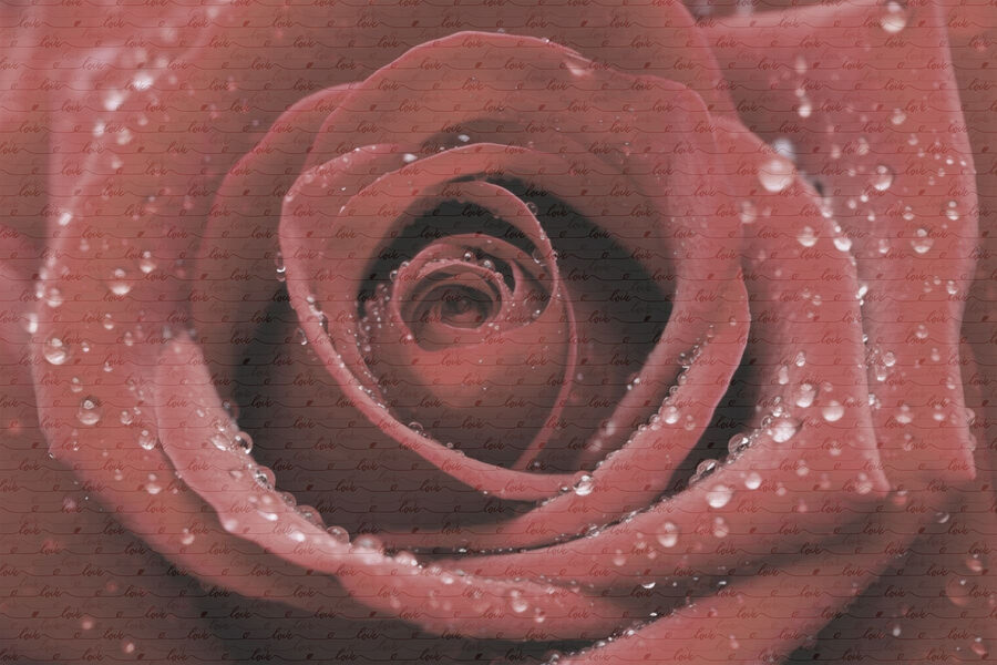 w03495p.jpg
