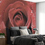 Wall murals Beautiful rose adorned with droplets.