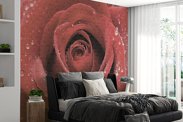 Beautiful rose adorned with droplets Wall murals Beautiful rose adorned with droplets