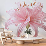 Wall murals Delicate petals, soft pink hues.