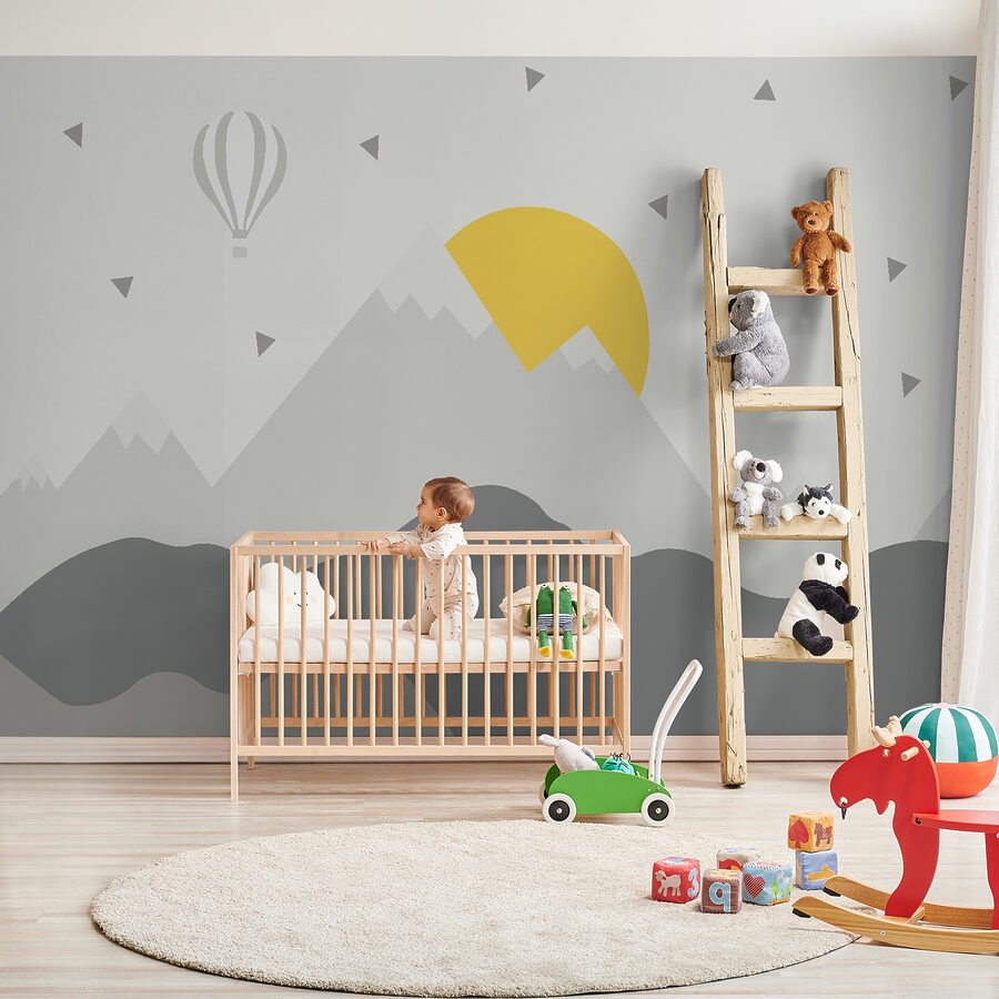 u11651pir6ms u11651pir6ms