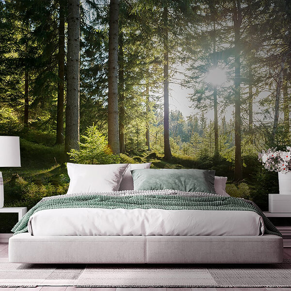 Wall mural Sunlight streaming through the forest