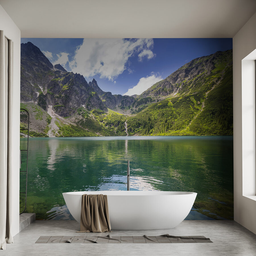 u54486pit1ms u54486pit1ms