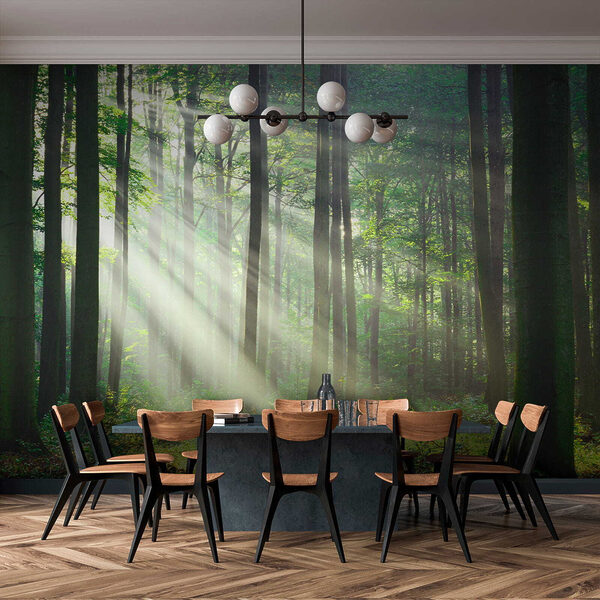 Wall mural Sunbeams streaming through the forest
