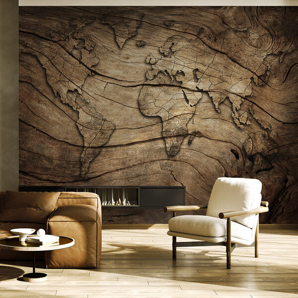 Wall mural Wooden map etched on surface