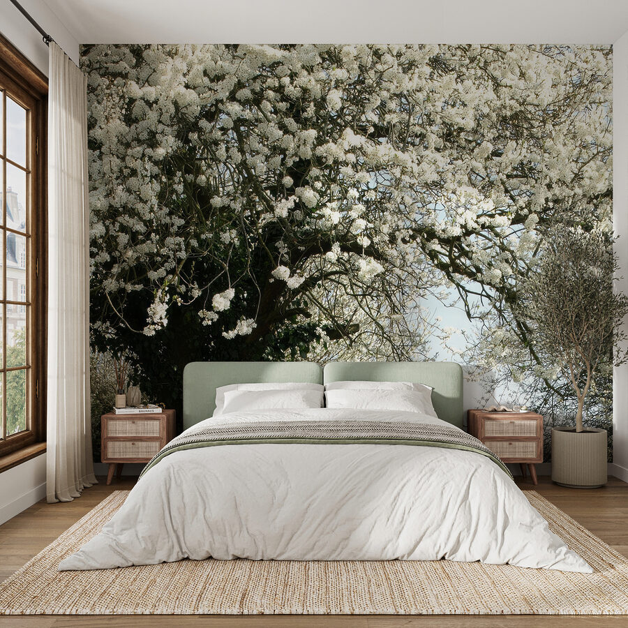 u55071pib9ms u55071pib9ms