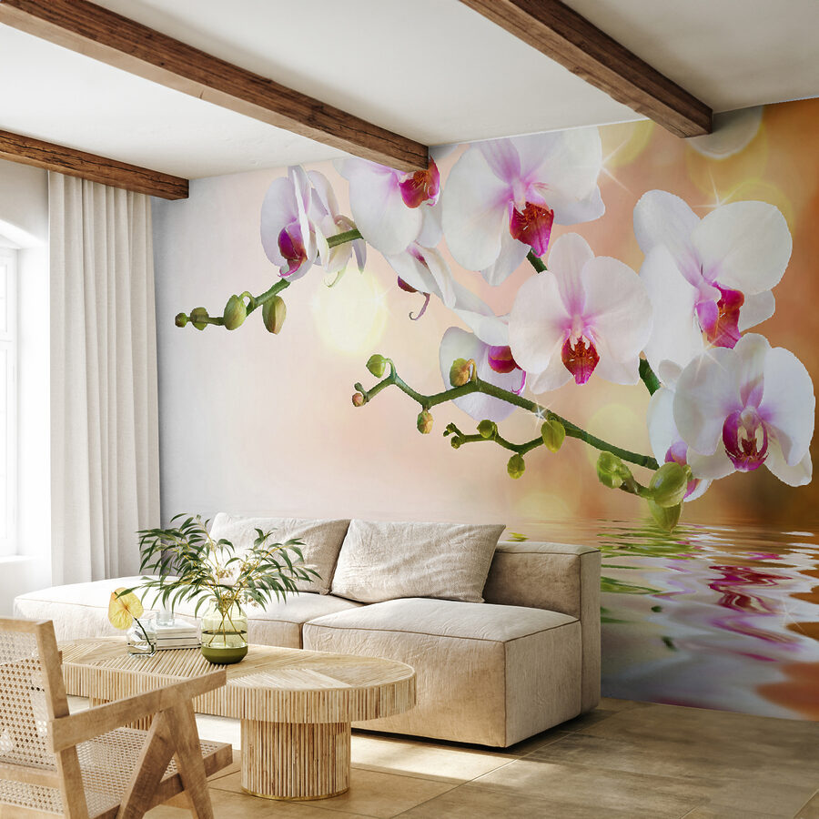 u56940pig3ms u56940pig3ms