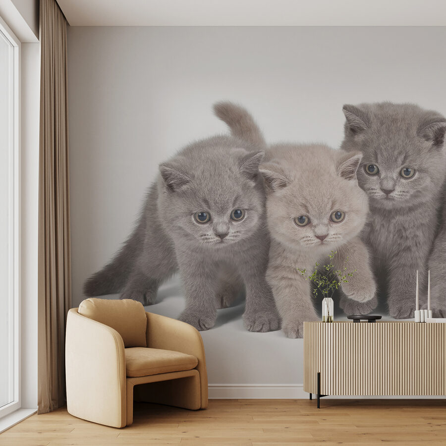 u55076pig17ms u55076pig17ms