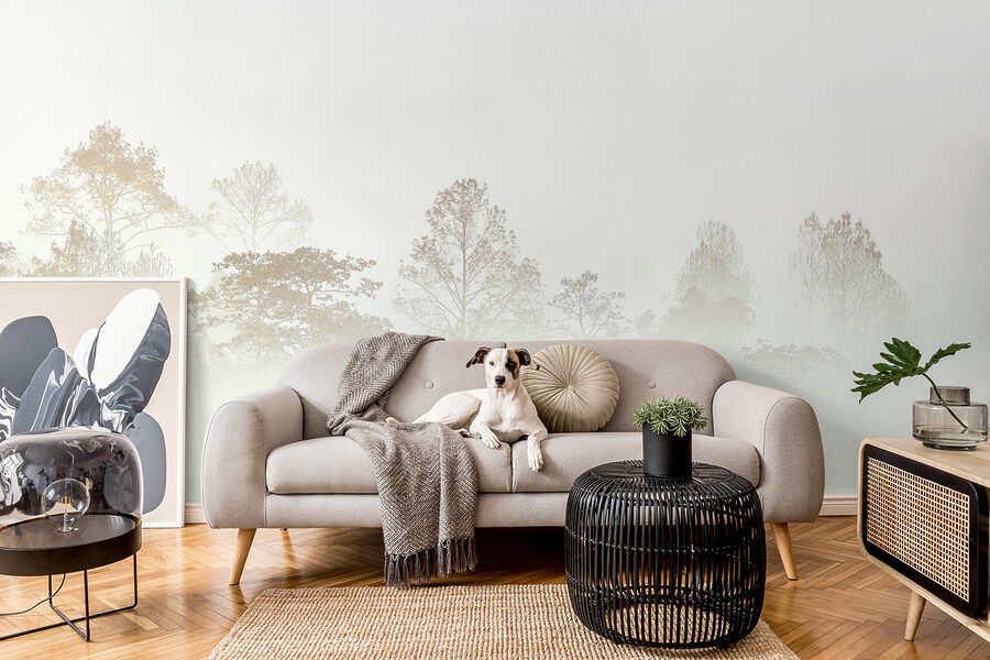 u97405pig19mr u97405pig19mr