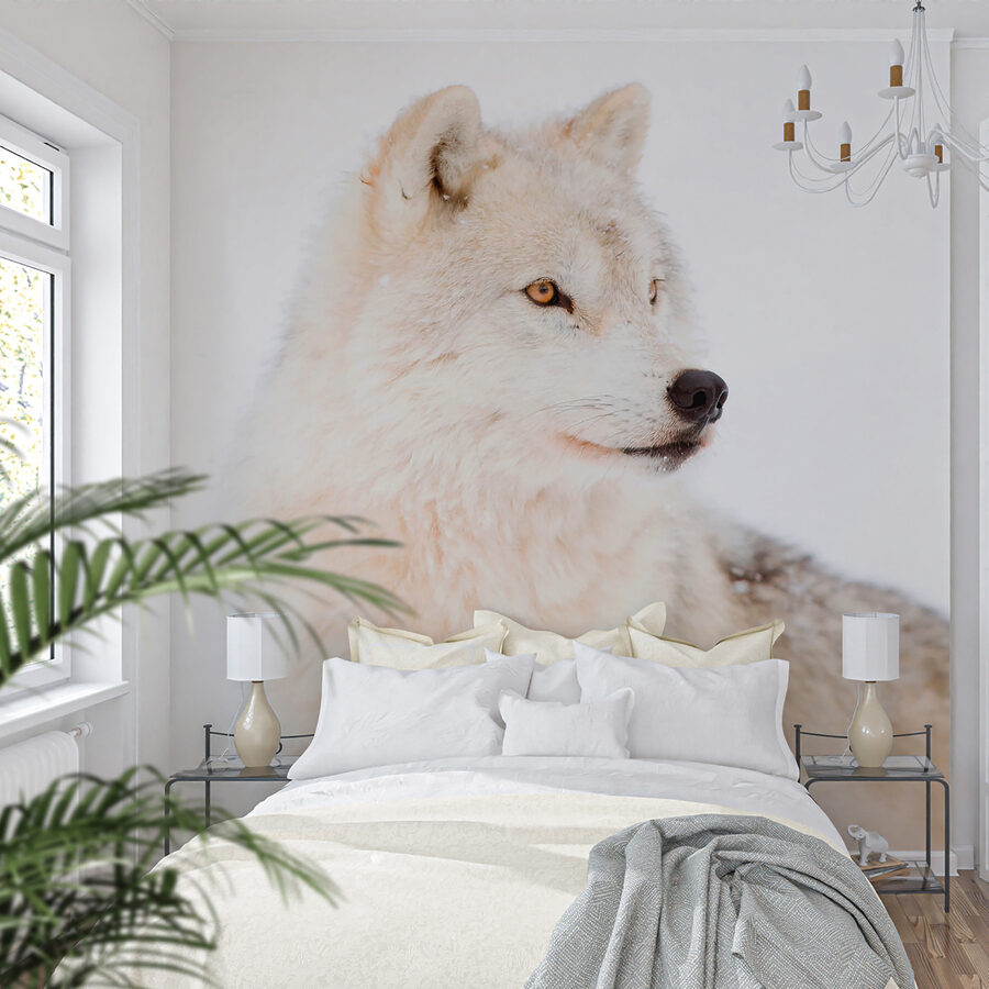 u98189pib6ms u98189pib6ms