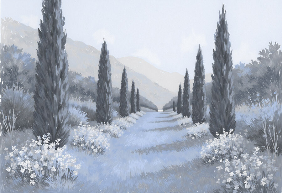 w03662v2p.jpg