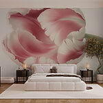 Wall murals Delicate petals in soft hues