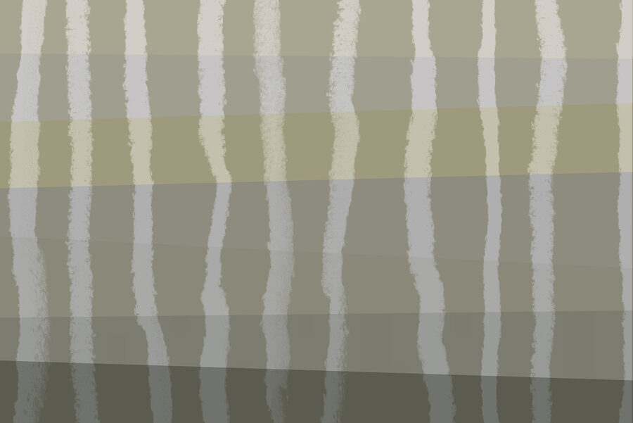 w03788v1p.jpg