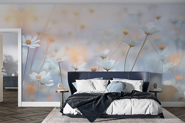 Delicate flowers in soft sunlight Wall murals Delicate flowers in soft sunlight