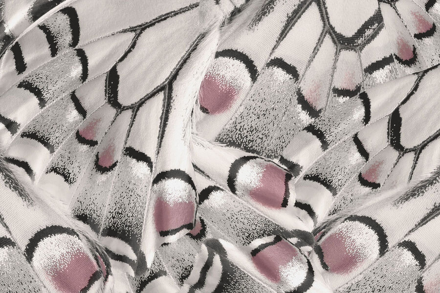 w03906v1p.jpg