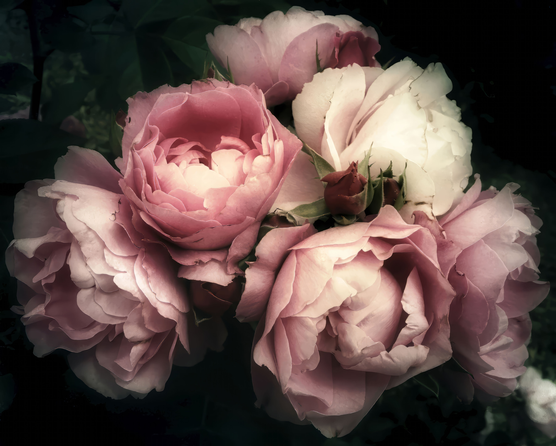 u08062p u08062p